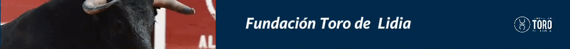 fundacion toro